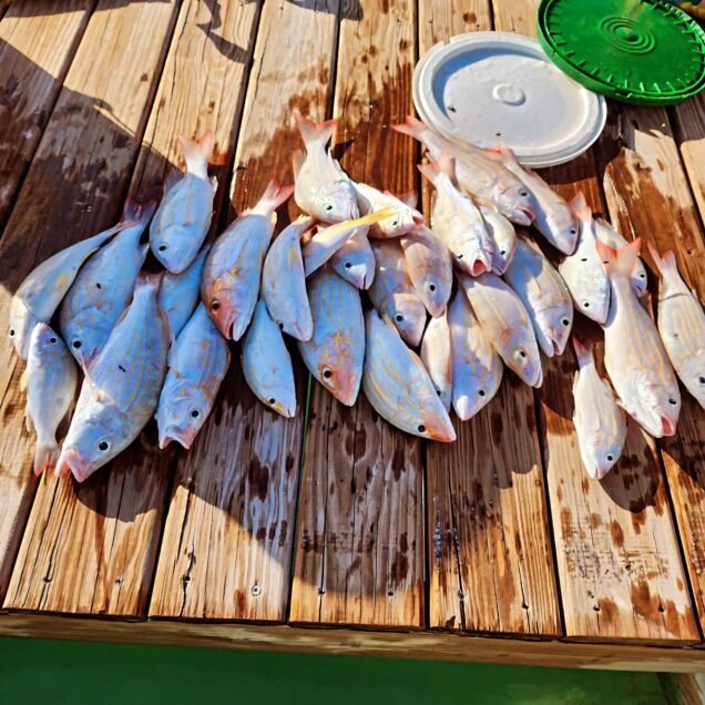 Turk-oise wave adventure (19)