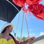 Turks and Caicos Boat Tours: Luxury, Snorkeling