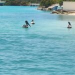 glass bottom kayak providenciales