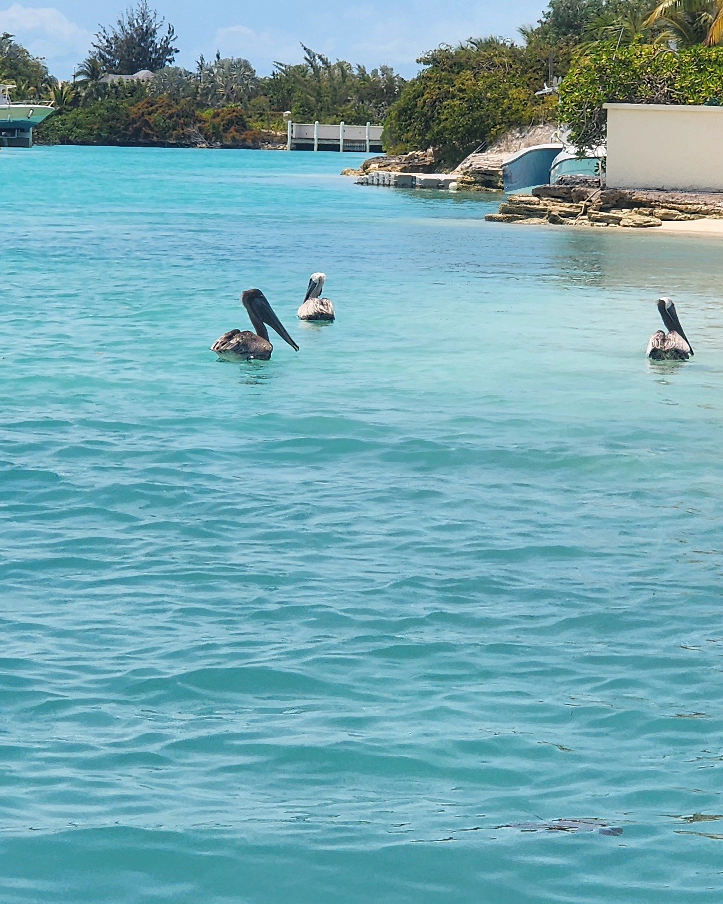 glass bottom kayak providenciales