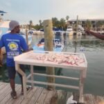 things to do in Providenciales