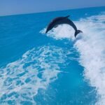 boat tours providenciales