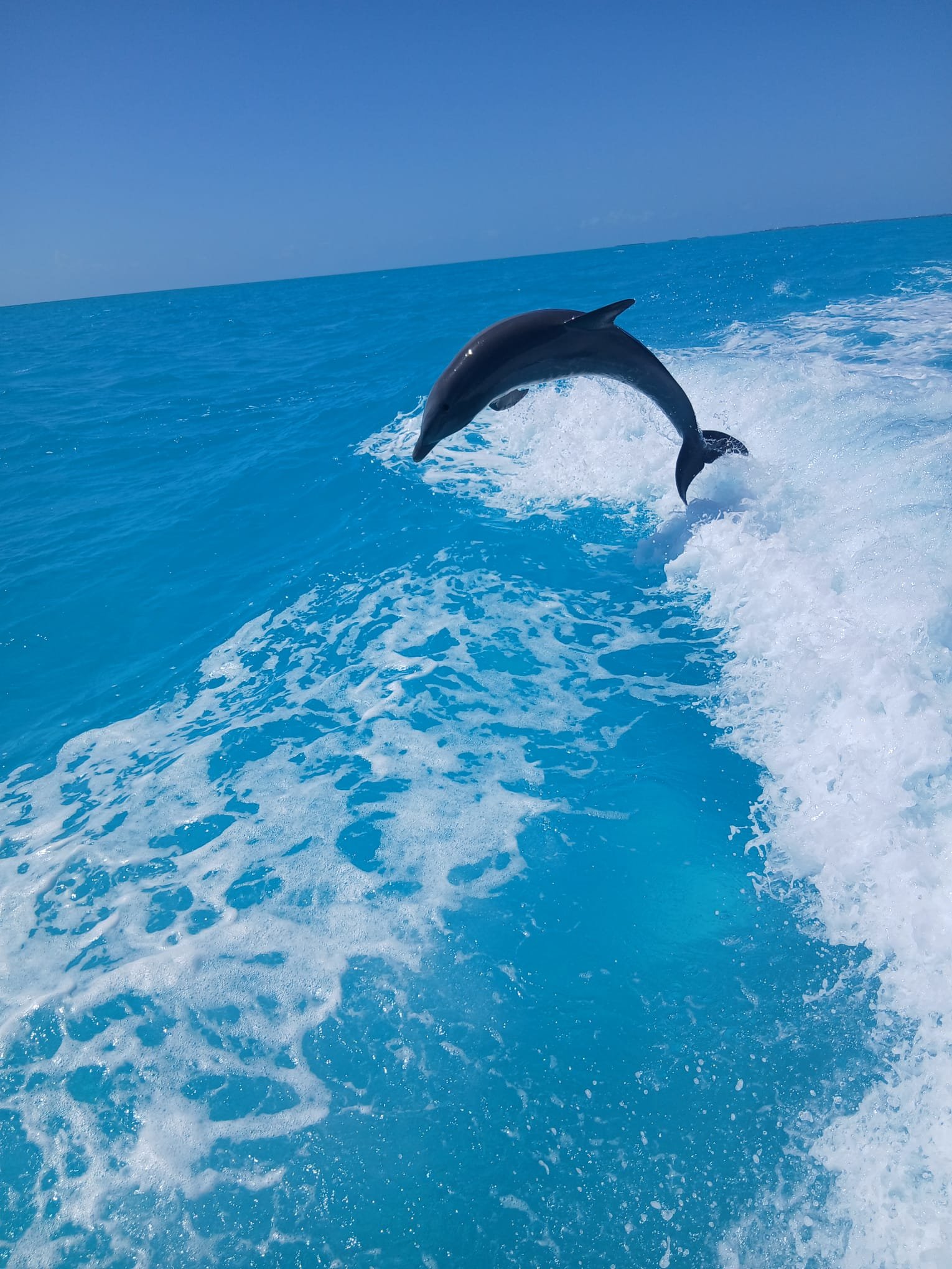 boat tours providenciales